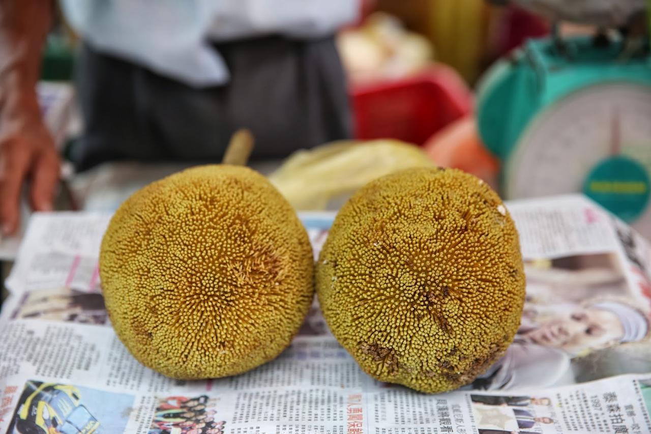亞庇 度假背包客kk旅舍旅舍 外观 照片